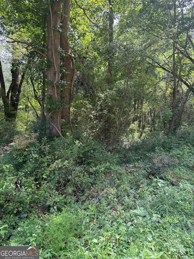 2924 Raintree Dr SE, Conyers, GA 30094 - photo 2