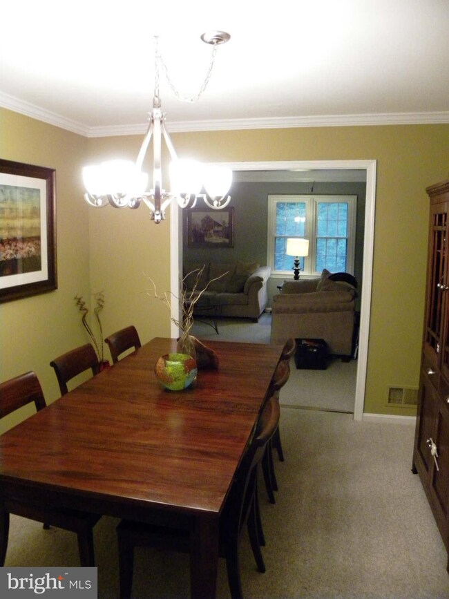 6058 Morgan Ct, Alexandria, VA 22312 - photo 7