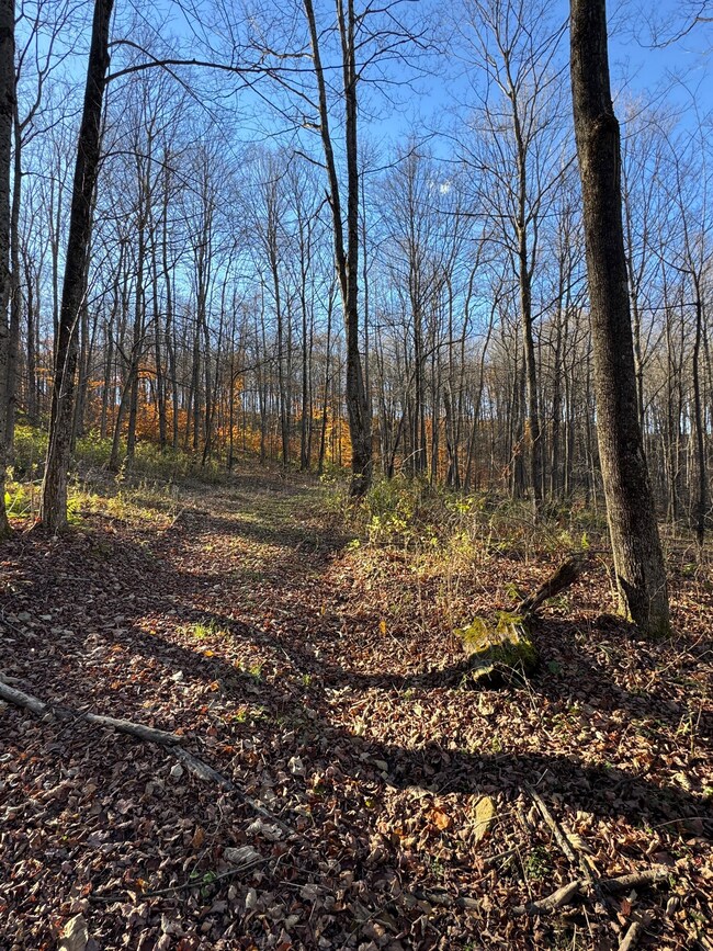 Town Line Rd, McGraw, NY 13101 - photo 7