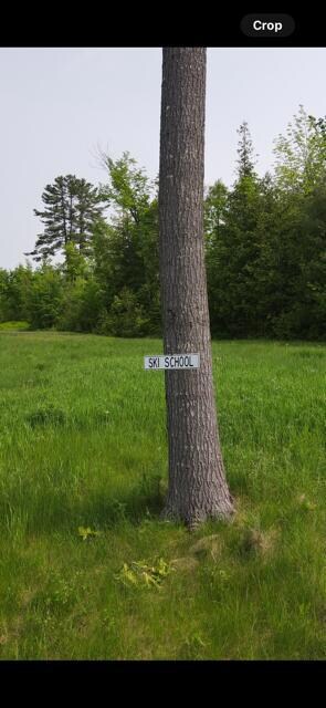 Lot 5 Mt Jefferson Heights, Lee, ME 04455 - photo 5