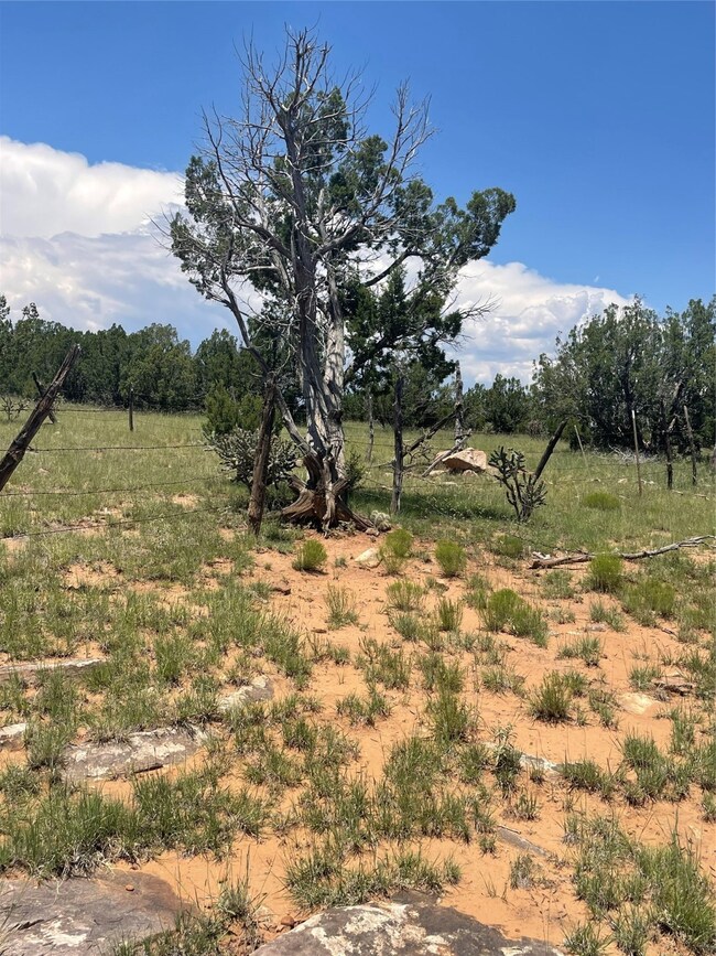 000 County Road B29a, Villanueva, NM 87583 - photo 7