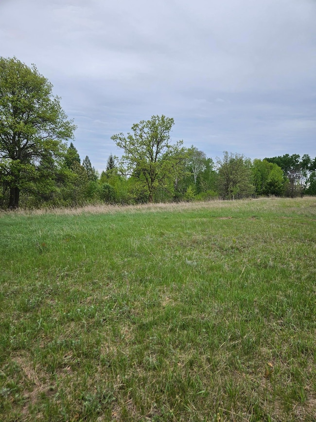 TBD Pillager Creek Trail SW, Pillager, MN 56473 - photo 5