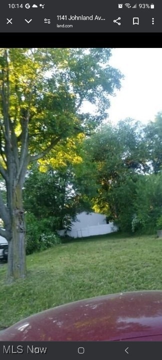 1141 Johnland Ave, Akron, OH 44305 - photo 3