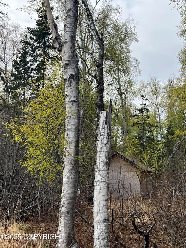 12X20 Outbuilding