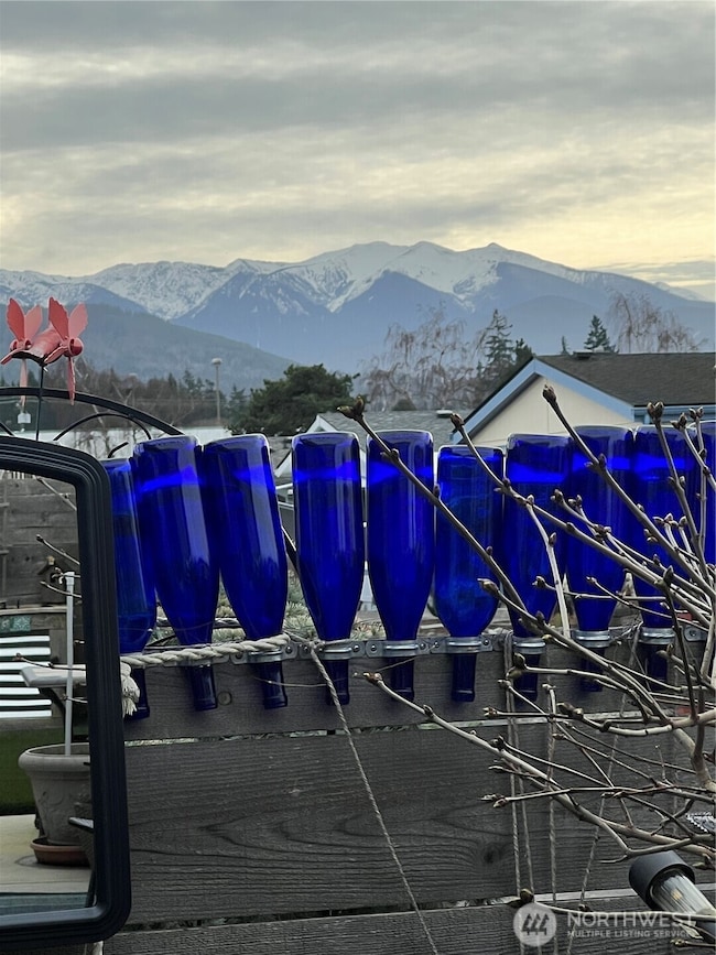 Carousel Image