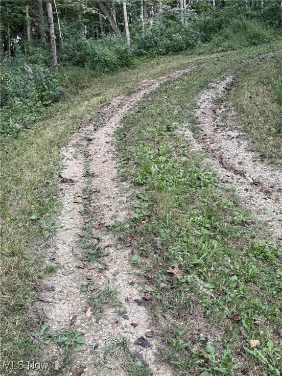 5855 Olney Run Rd, McConnelsvle, OH 43756 - photo 2