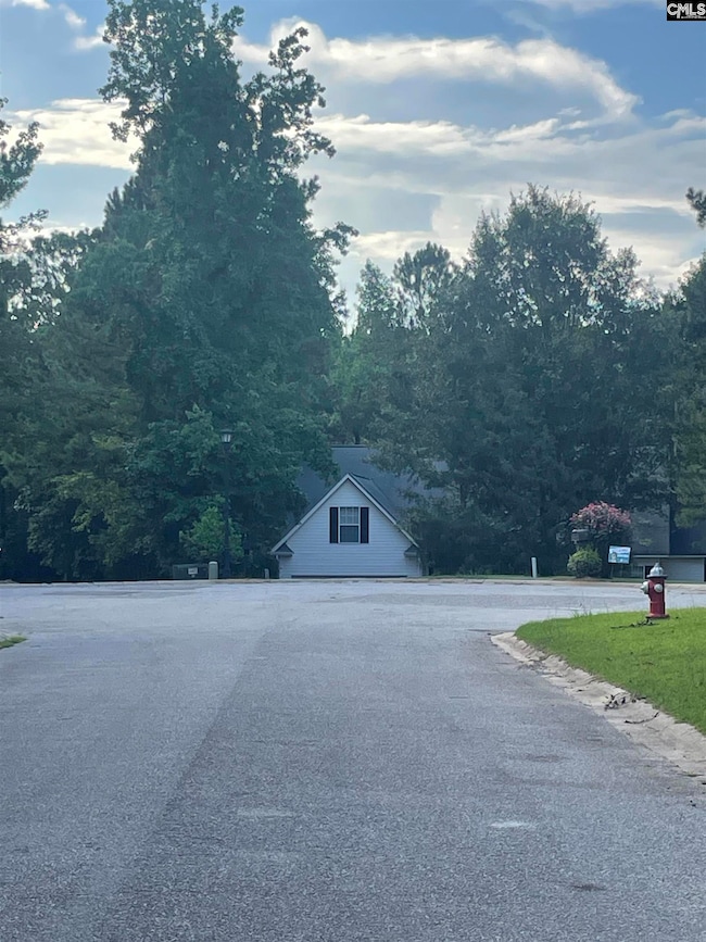 11 Otter Trail Ct, Columbia, SC 29203 - photo 5