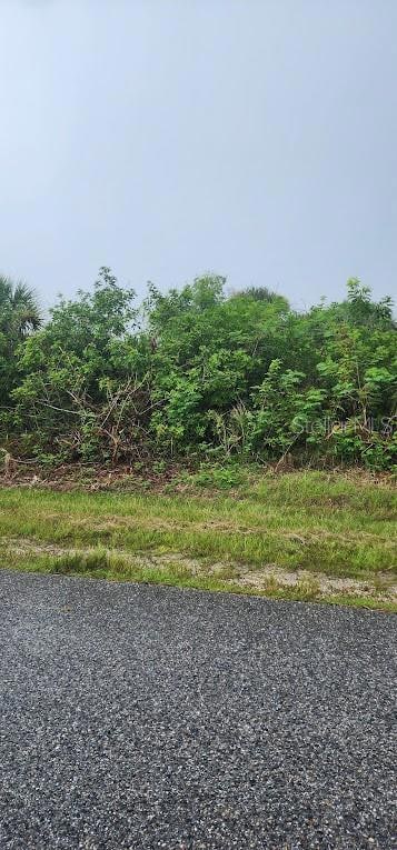 8183 Clyde Cir, South Gulf Cove, FL 33981 - photo 3