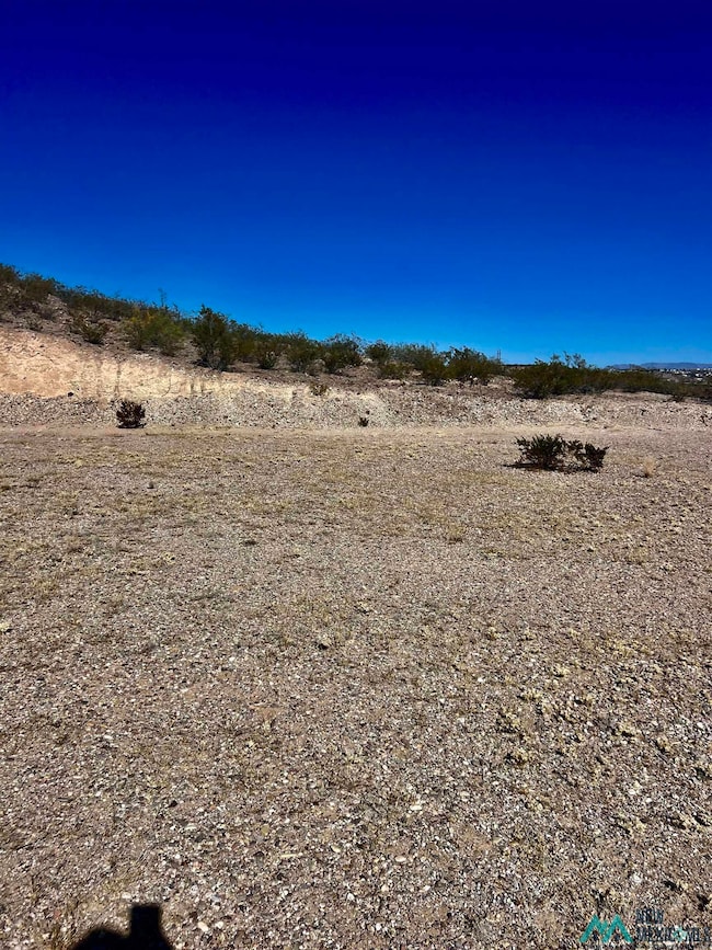 View of local wilderness