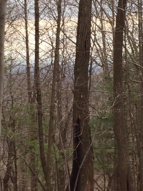 Lot 32 Windridge pic 1