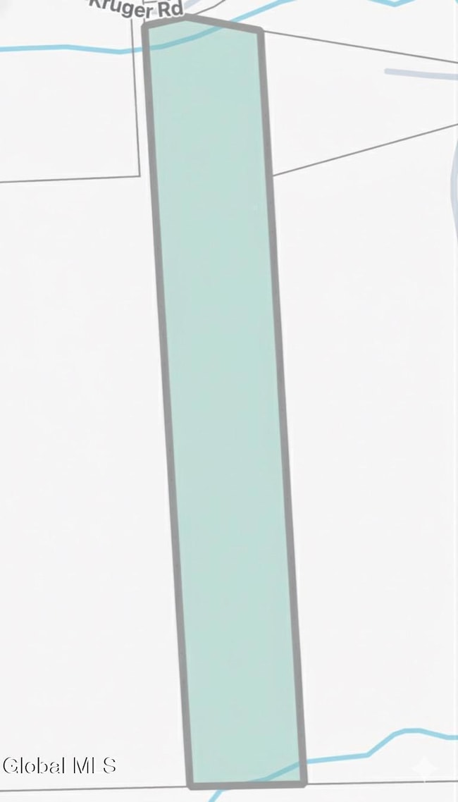 100 Krueger Rd, Coeymans, NY - photo 4