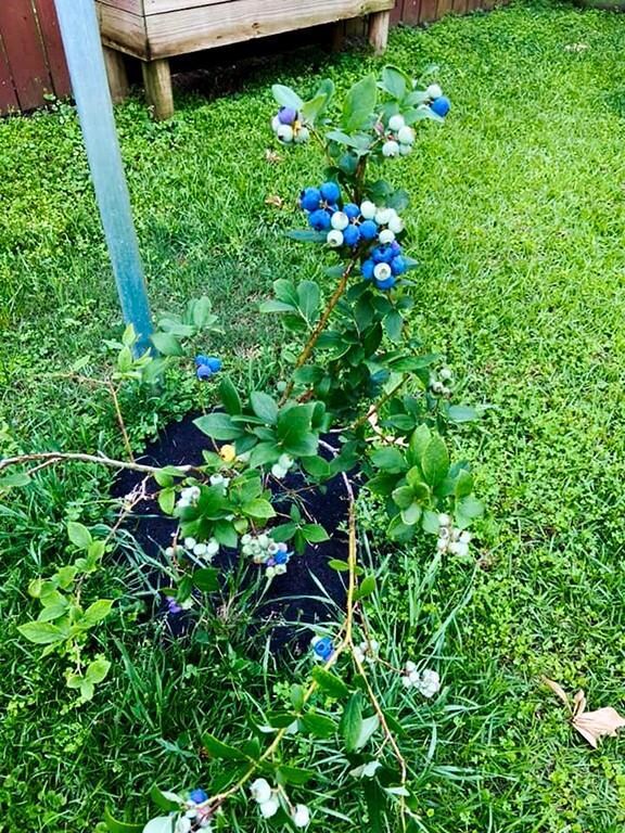 1541 Queens Dr, Slidell, LA 70458 - photo 7