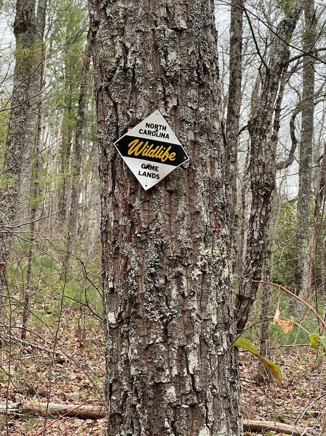 Tract 14 Eagles View, Highlands, NC 28741 - photo 5