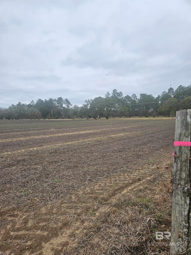 23111 Harden Ln, Summerdale, AL 36580 - photo 3