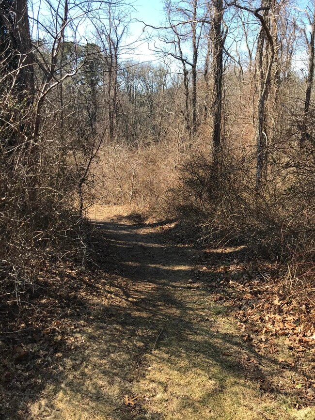 328 Boxberry Hill Rd, East Falmouth, MA 02536 - photo 7