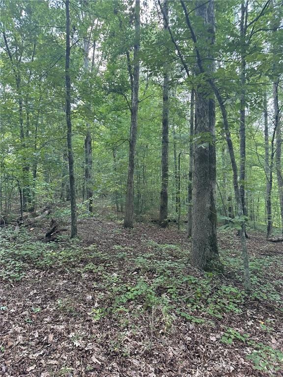 0 Fears Rd unit 7684722, Madison, GA 30650 - photo 2