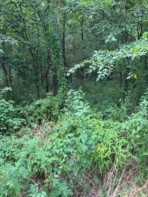 2198 W Zora St, Joplin, MO 64801 - photo 4