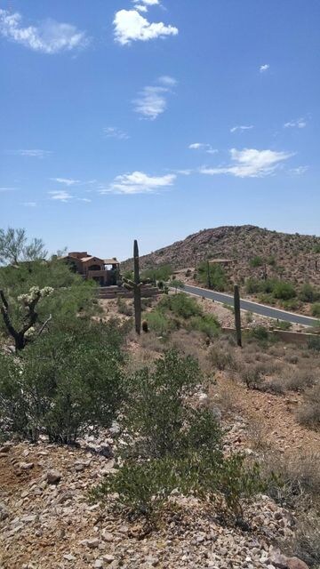 South Views