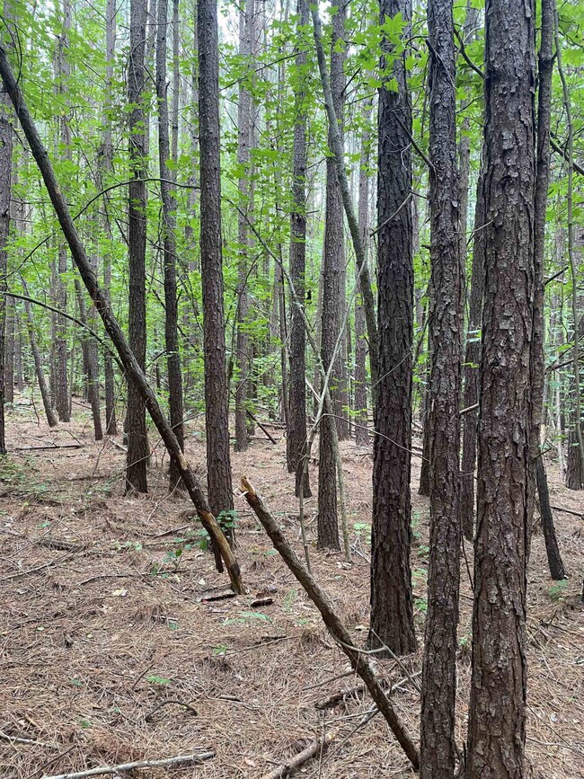 0 Sterl Carrington Rd, Oxford, NC 27565 - photo 5