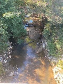 0 County Road 600, Booneville, MS 38829 - photo 3