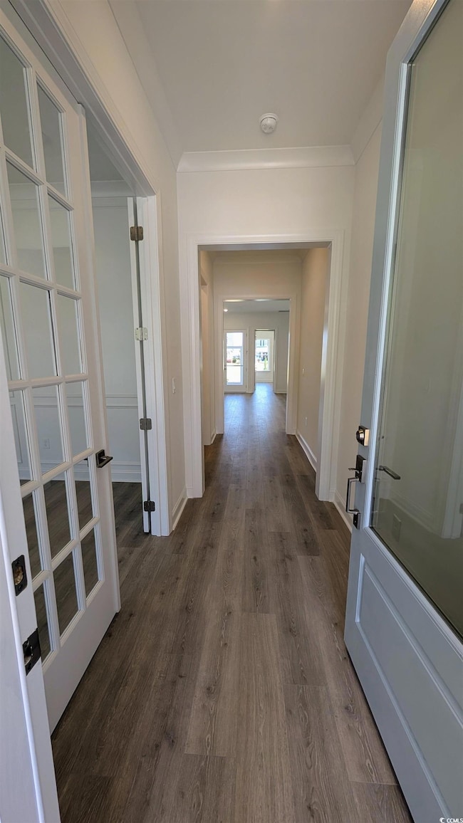 Hall featuring baseboards, dark wood-style flooring, and crown molding