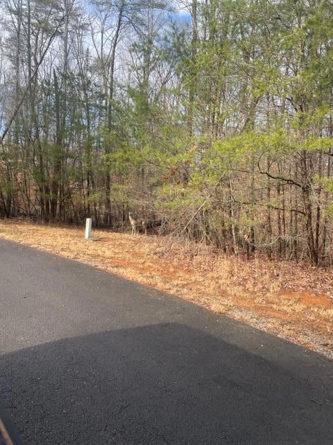 19 Five Points Dr, Russell Springs, KY 42642 - photo 6