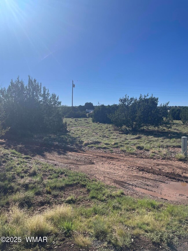 37 Frontage Rd, Concho, AZ 85924 - photo 7