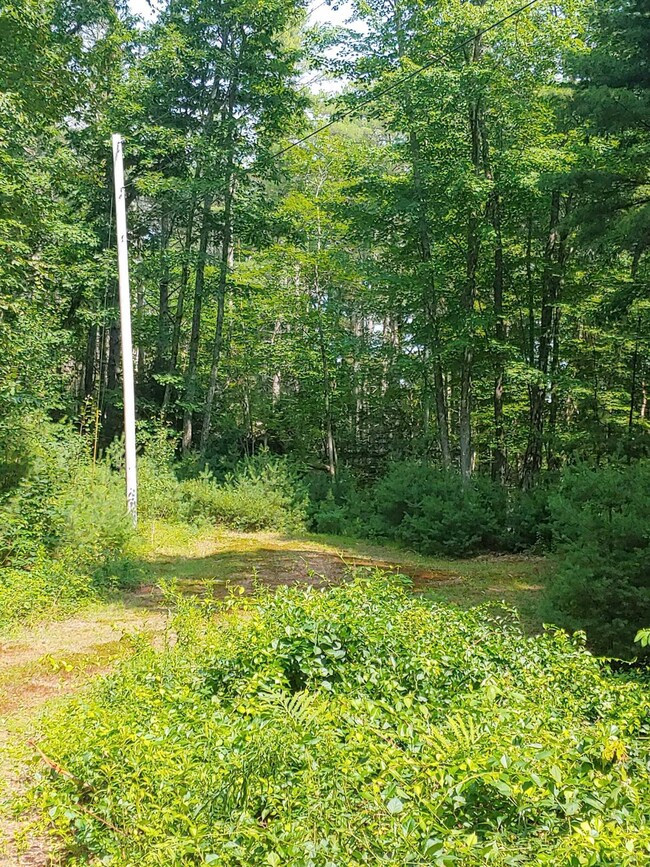 0716211006a_HDR