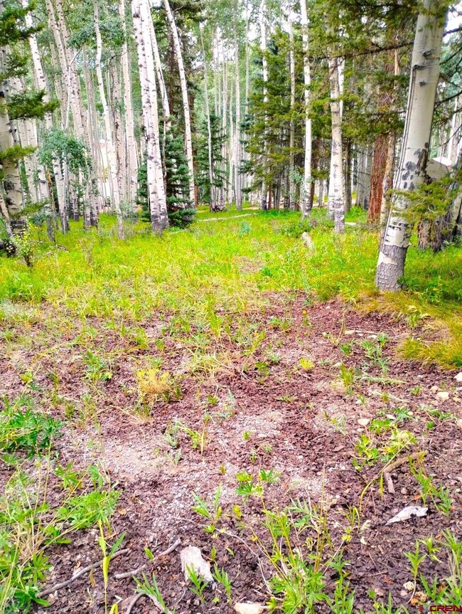 770 Ponderosa Way, Cimarron, CO 81220 - photo 4