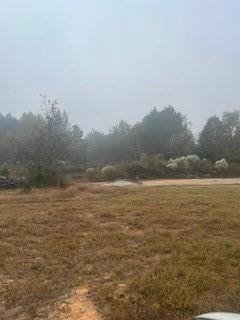 0 Ocho Rios, Pineville, LA 71360 - photo 4