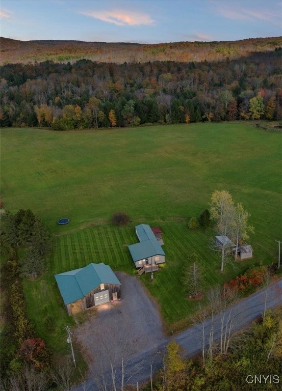 9137 Dole Rd, Remsen, NY 13438 - photo 6