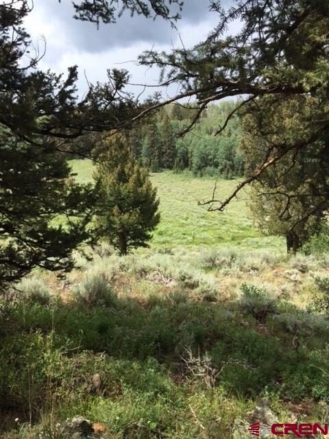 0 Oso Creek Rd unit 736065, Powderhorn, CO 81243 - photo 4