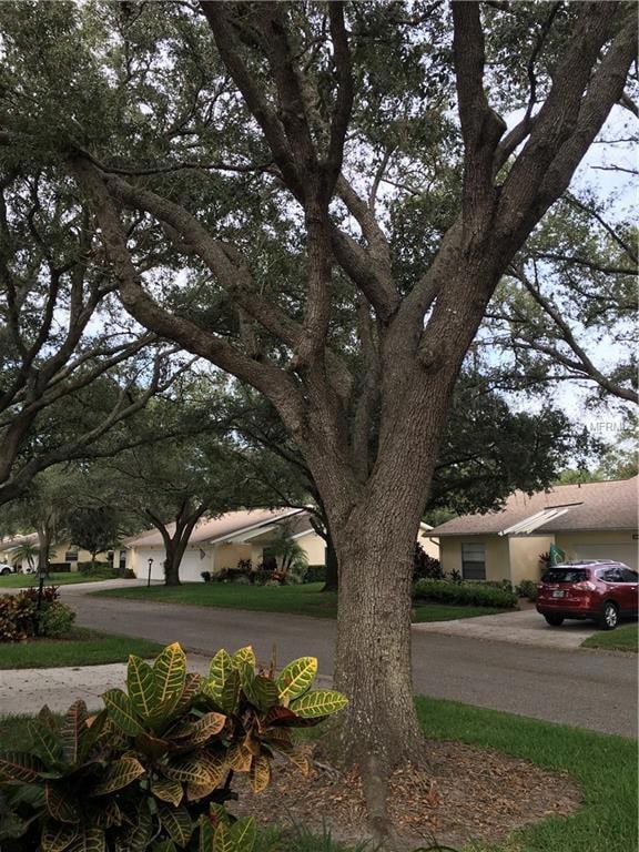 3944 Oakhurst Blvd unit 3113, Sarasota, FL 34233 - photo 3