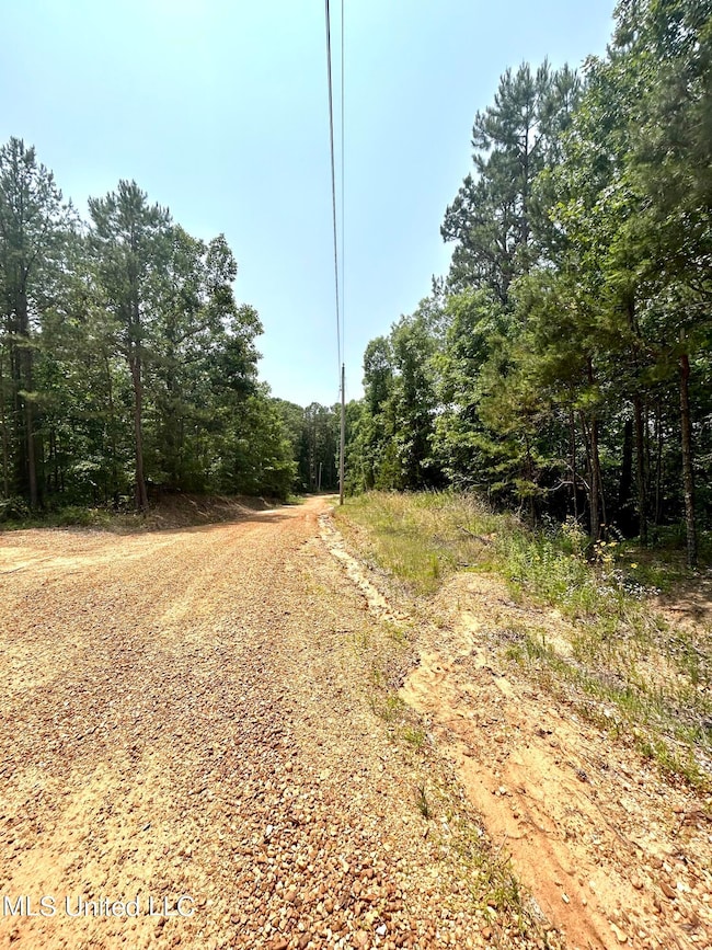 road frontage 2