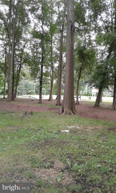 0 Corner of Wagner Rd & Zoar Rd unit DESU104956, Georgetown, DE 19947 - photo 3