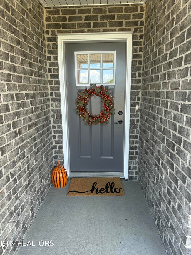 540 Henderson Rd unit 29, Pigeon Forge, TN 37863 - photo 6