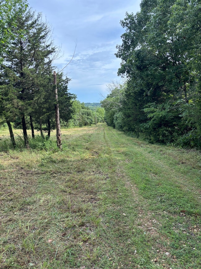 3505 SE 1379 Rd, Weableau, MO 65774 - photo 2