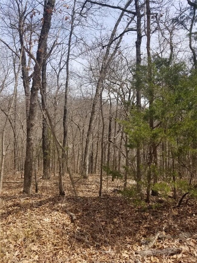 Lot 58 Hornsea Ln, Bella Vista, AR 72714 - photo 2