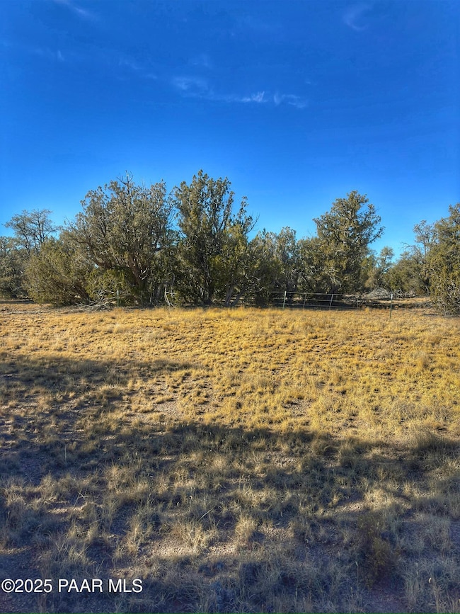 01 N Boulder Ridge, Seligman, AZ 86337 - photo 7