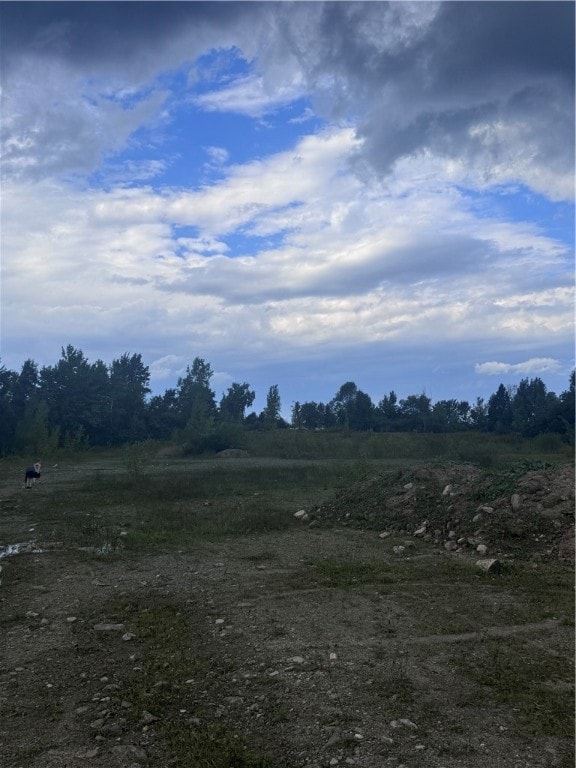 0 Howlett Hill Rd unit R1654954, Onondaga, NY 13215 - photo 2