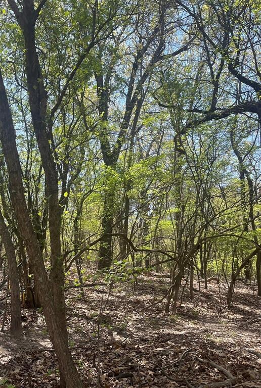 0 55 Acres Peaceful Acres II unit 1164857, Eufaula, OK 74432 - photo 4