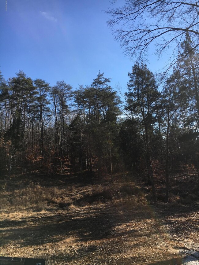 CAE41E93-B611-4D1A-A8ED-34B780CCCEA0