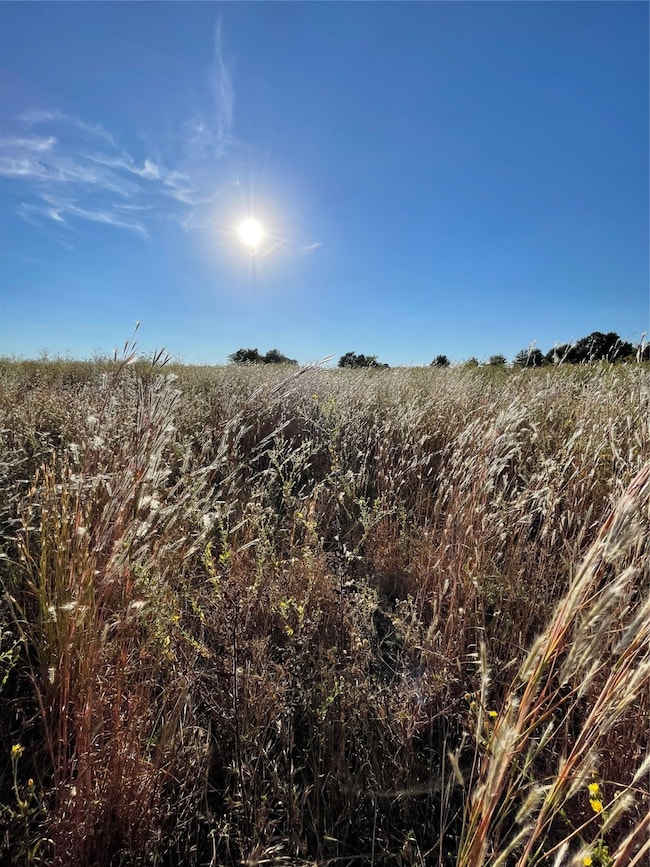 935 Vz County Road 3201, Wills Point, TX 75169 - photo 4