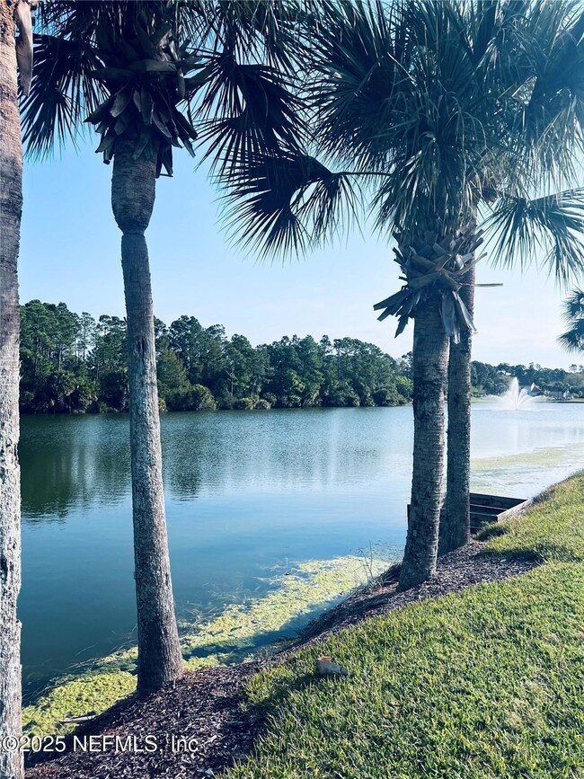 91 Emerald Lake Dr, Palm Coast, FL 32137 - photo 3