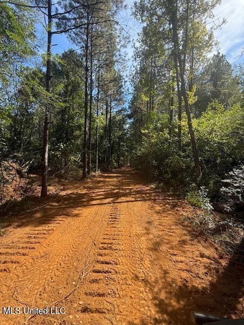 0 Centerville Rd, Osyka, MS 39657 - photo 6