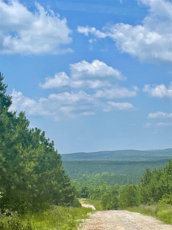 75 Sliding Hill Trail, Broken Bow, OK 74728 - photo 5
