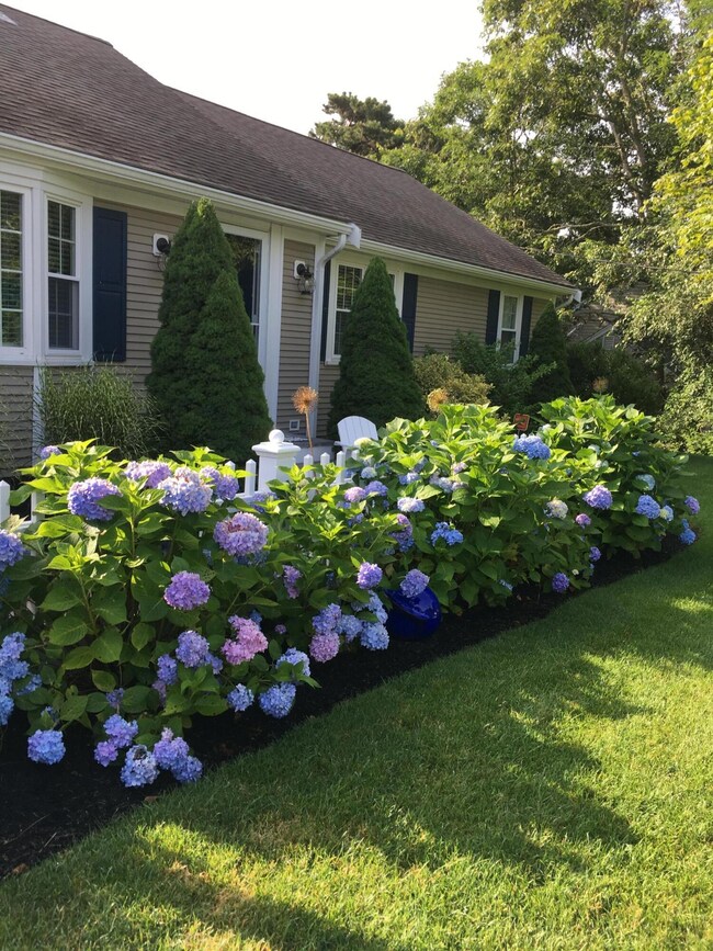 66 Randolph Rd, Yarmouth Port, MA 02675 - photo 2