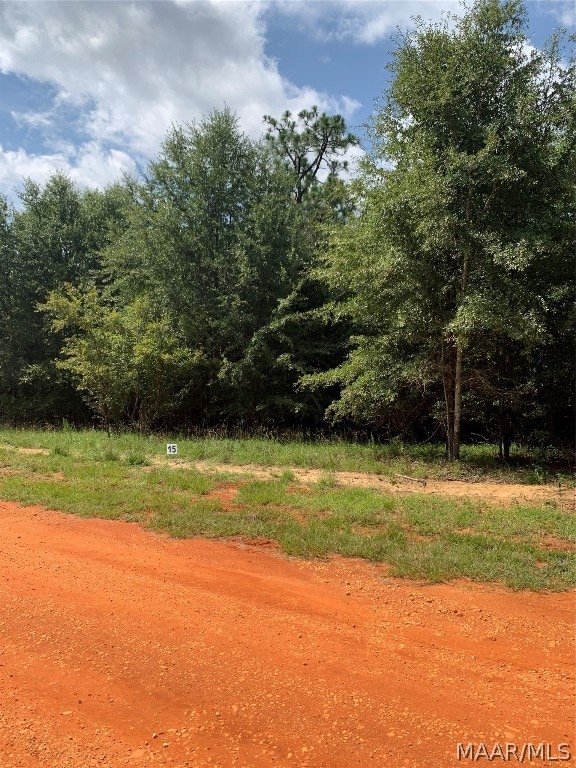 Lot 15 Deer Loop