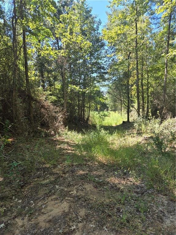 0 Riser Rd, Sikes, LA 71473 - photo 2