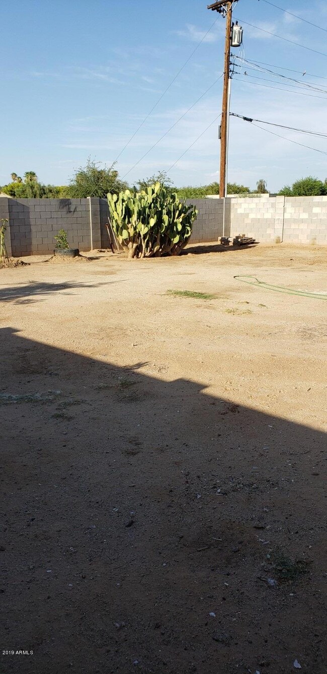 back yard